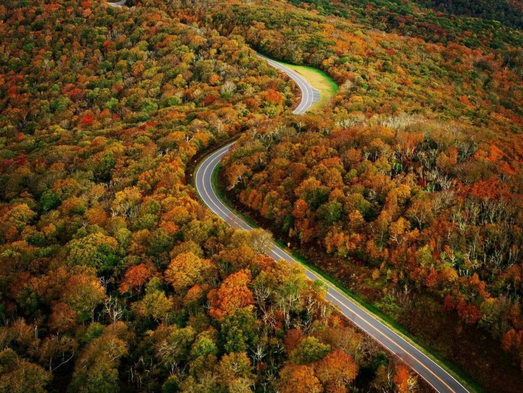 A mountain road winding through a brilliant autumn forest canopy near Historic Tapoco Lodge.