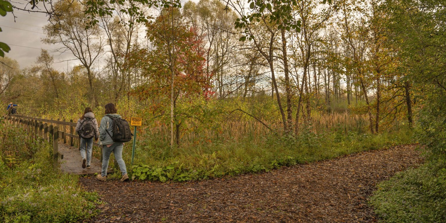 Guided bird walk