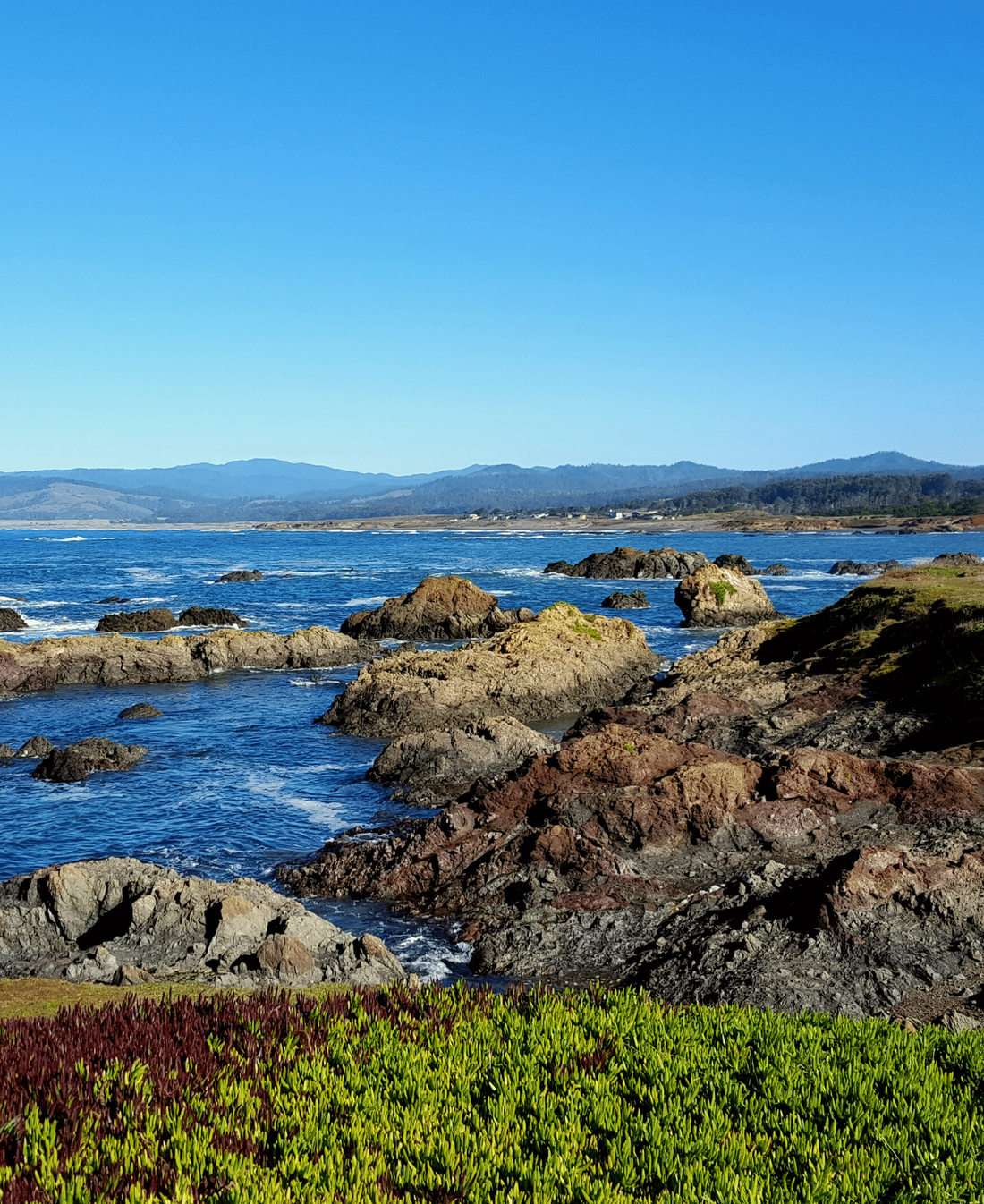 Summer on the Mendocino Coast: How to Spend Your Days